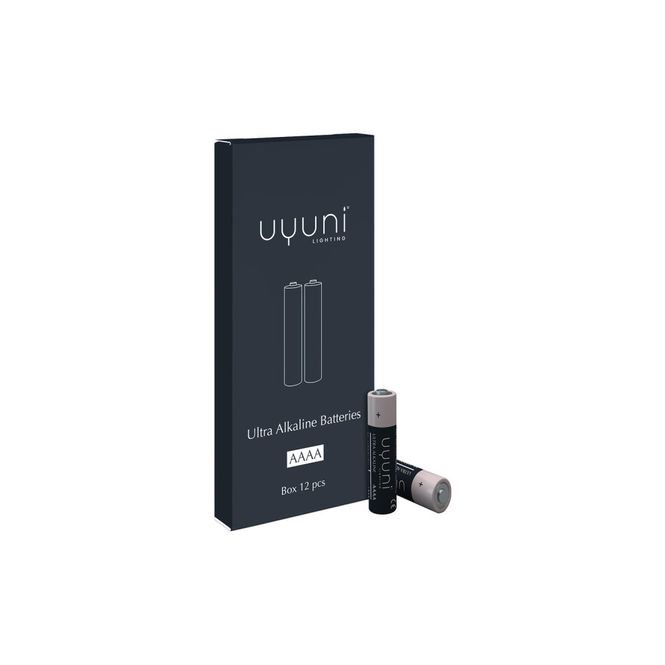Main Image Uyuni batterier AAAA 12-pk